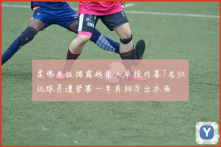 柔佛老板揭露越南人举报内幕7名归化球员遭禁赛一年真相浮出水面