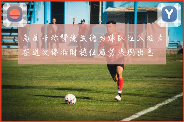 乌度卡称赞谢泼德为球队注入活力在进攻停滞时稳住局势表现出色