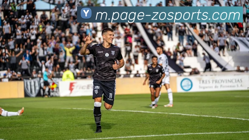 中欧体育平台生态图